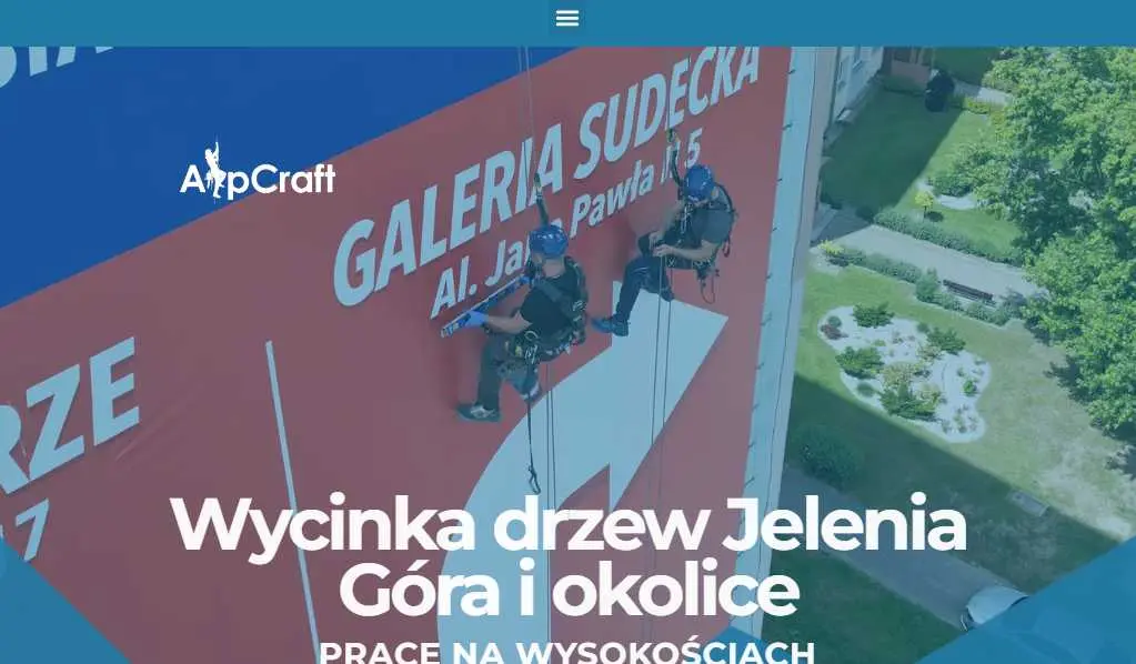 Wycinka drzew na wysokości|Wycinka alpimistyczna drzew|Wycinka drzew Jelenia Góra